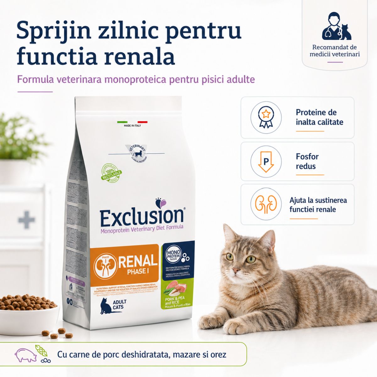 EXCLUSION Monoprotein VD Renal Phase 1, Porc și Orez, dietă veterinară, hrană uscată pisici, sistem renal, 1.5kg